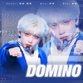 贤贤贤贤砸 - DOMINO