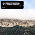 李贝妮 - 这条小鱼在乎