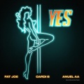 YES (Explicit)