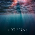 DJ Davion、Bull Beats、manu rg - Right Now (Na Na Na)(House Edit)(Remix)