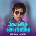 Bảo Hưng Miền Tây、Hàn Châu - Sao Lòng Còn Thương (Remix)
