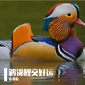 金亚雷 - 娶到我的男生有多幸福