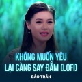 Bảo Trân、Mr Siro - Không Muốn Yêu Lại Càng Say Đắm (Lofi)