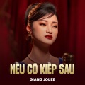 Nếu Có Kiếp Sau (Lofi)