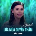 Bảo Trân、Trịnh Hưng - Lúa Mùa Duyên Thắm (Chachacha)