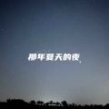 那年夏天的夜