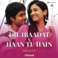 Dil Ibaadat X Haan Tu Hain (Sped Up)