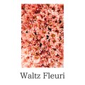 MaSssuguMusic - Waltz Fleuri