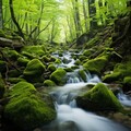 Koico Relaxation Music - New Day