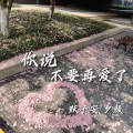 默予安、Xi颜 - 你说不要再爱了