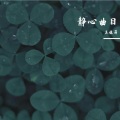 王佳莉 - 白首