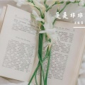 王佳莉 - 释然吧