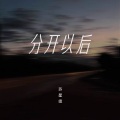 苏星婕 - 分开以后