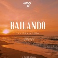 Bull Beats、manu rg - Bailando (Tu Y Yo A La Fiesta)(House)(Remix)