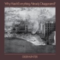 Deerhunter - Plains