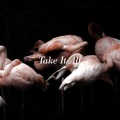 Take it all