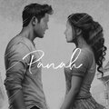 Abhishek Rai、TARISH - Panah