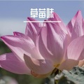 王佳莉 - 梦里