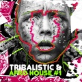 Tribalistic & Afro House, Vol. 1 (Explicit)