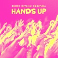 Hands Up (Extended Mix)