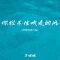 你拦不住吹走的风 (周楷恒进行曲)