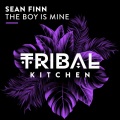 The Boy Is Mine (Extended Mix)