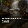 Sounds of Soulful Nature
