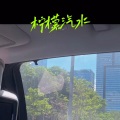 伊紫一 - 檸檬汽水