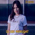 DJ Andies - DJ Sri Minggat SLow Remix