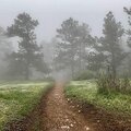 Emix - nature beauty