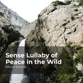 Sense Lullaby of Peace in the Wild