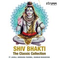 Dinesh Kumar Dube、suresh wadkar - Mahamrityunjay Mantra