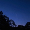 ZAMARO - Falling stars