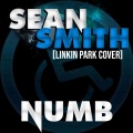 sean smith - Numb