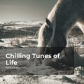 Chilling Tunes of Life