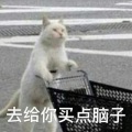 壹拾九 - 我喜欢上你时的内心活动