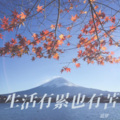 追梦 - 生活有累也有苦