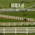 宋东义 - 吃泡面的仪式感