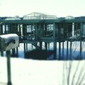 The Lake House (Explicit)