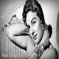 Flor Silvestre - Gaviota Traidora