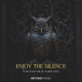 Enjoy The Silence