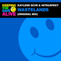 Wastelands