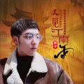 杨子 - 又见江南雨