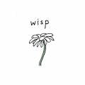 Wisp