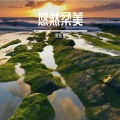 宋东义 - 温柔清风吹散烦恼