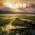 宋东义 - 面对世界的沧桑