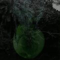 SKYWXLKER、Walls - BAMBU