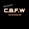 WNLTONE、Fenk - Streak