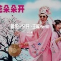 DJ王龍 - 阿牛-桃花朵朵开 -王龍Remix