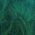 韩秋利 - 想你时风起 (钢琴版)(韩秋利 remix)